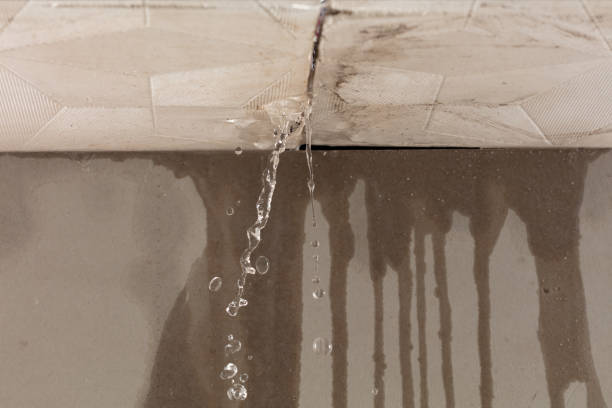 Professional Flood Damage Cleanup technician working in Geneva, AL